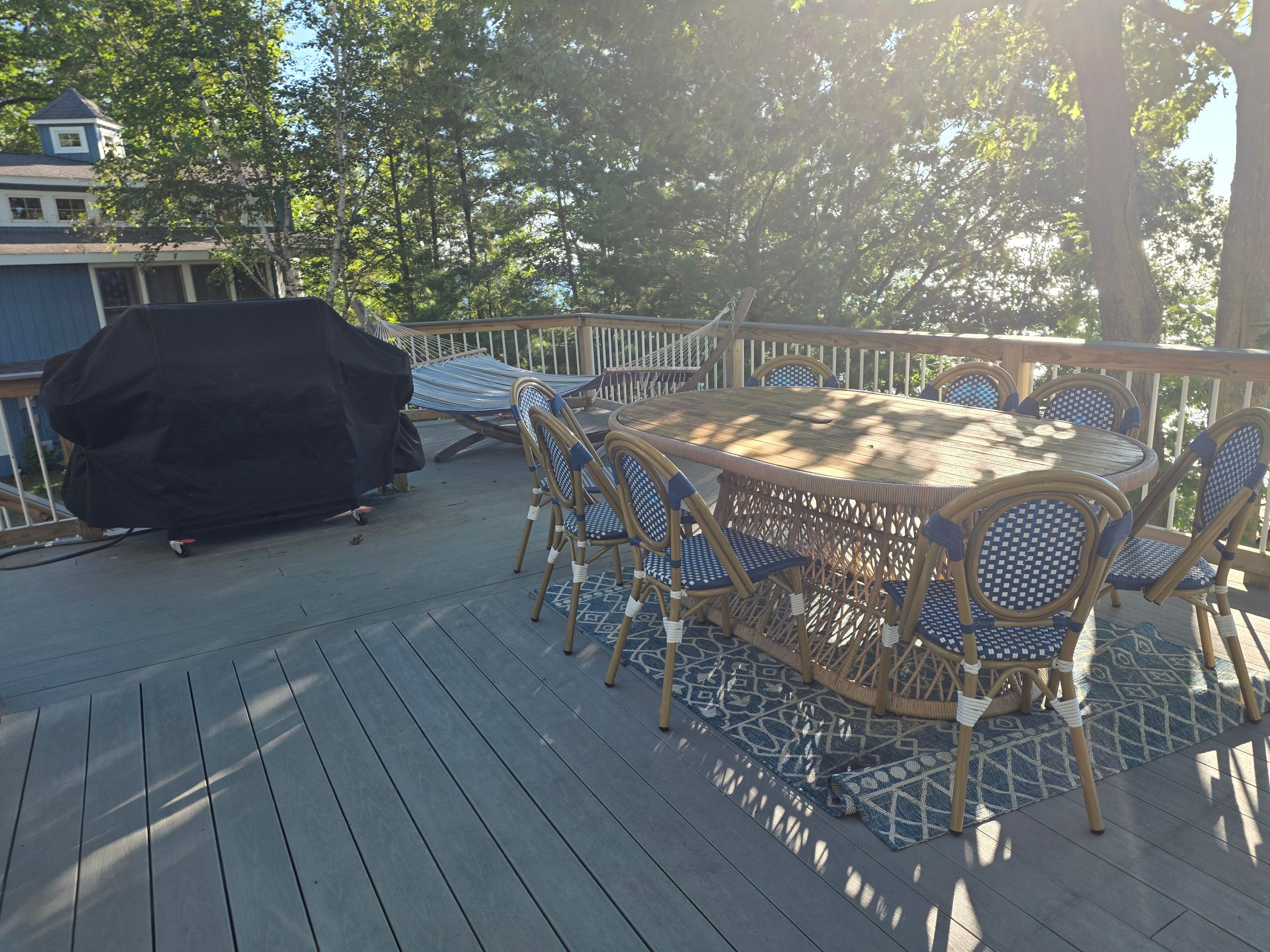 Lakeside deck with grill and hammock